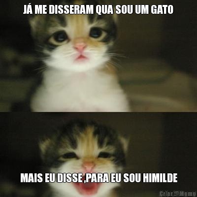 J� ME DISSERAM QUA SOU UM GATO MAIS EU DISSE ,PARA EU SOU HIMILDE