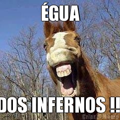 �GUA DOS INFERNOS !!!