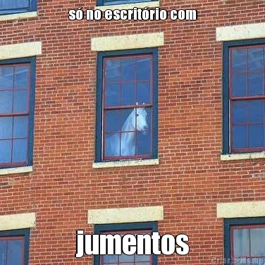 s� no escrit�rio com jumentos