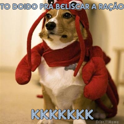 to doido pra beliscar a ra��o kkkkkkk