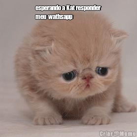 esperando a Kat responder
meu  wathsapp 