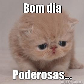 Bom dia Poderosas...