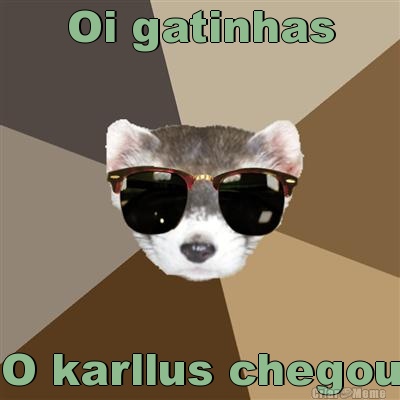 Oi gatinhas O karllus chegou