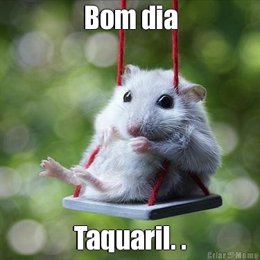 Bom dia Taquaril. .