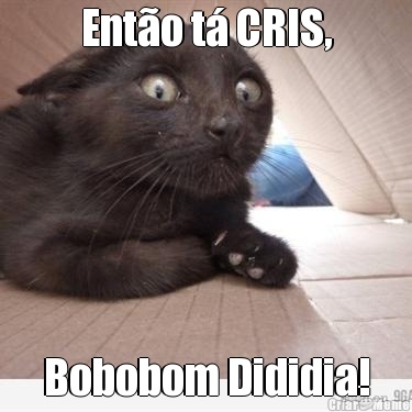 Ent�o t� CRIS, Bobobom Dididia!