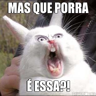 MAS QUE PORRA � ESSA?!