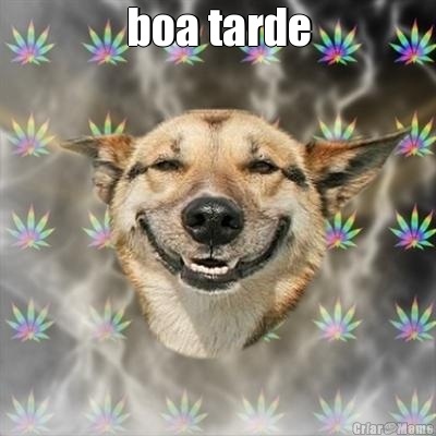 boa tarde 