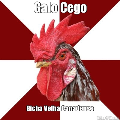 Galo Cego Bicha Velha Canadense