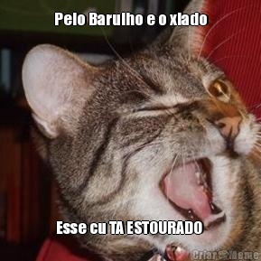 Pelo Barulho e o xiado Esse cu TA ESTOURADO 