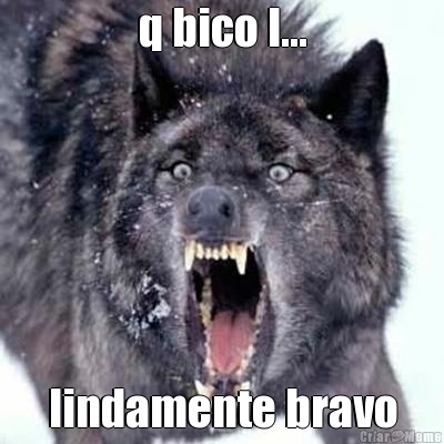 q bico l... lindamente bravo