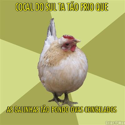 COCAL DO SUL TA T�O FRIO QUE  AS GALINHAS T�O PONDO OVAS CONGELADOS 