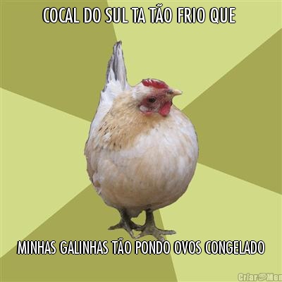 COCAL DO SUL TA T�O FRIO QUE  MINHAS GALINHAS T�O PONDO OVOS CONGELADO