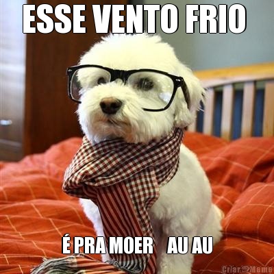 ESSE VENTO FRIO  � PRA MOER    AU AU