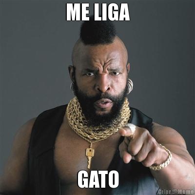 ME LIGA GATO