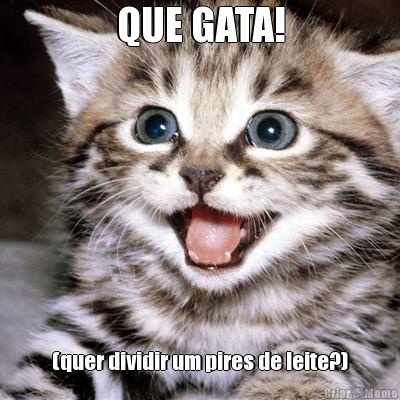 QUE GATA! (quer dividir um pires de leite?)