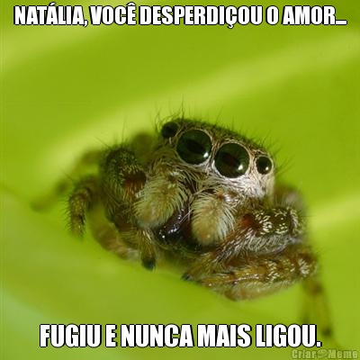 NAT�LIA, VOC� DESPERDI�OU O AMOR... FUGIU E NUNCA MAIS LIGOU.