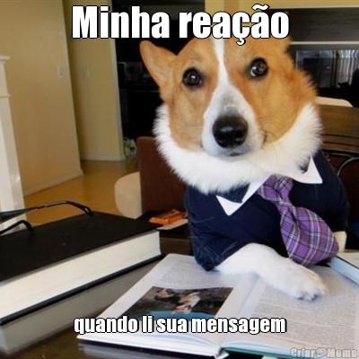 Minha rea��o quando li sua mensagem