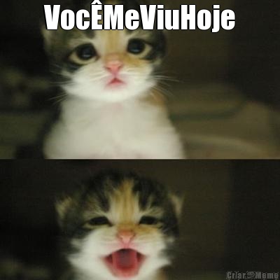 Voc�MeViuHoje                                         