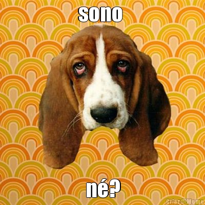 sono  n�?