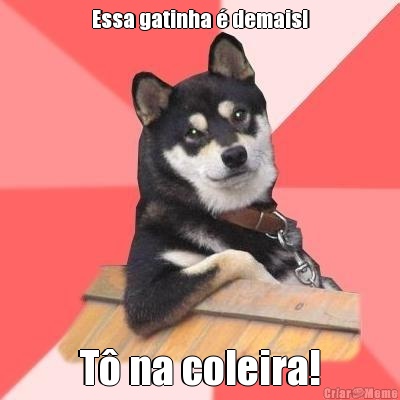 Essa gatinha � demais! T� na coleira!