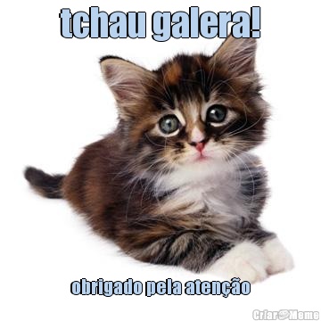 tchau galera! obrigado pela aten��o