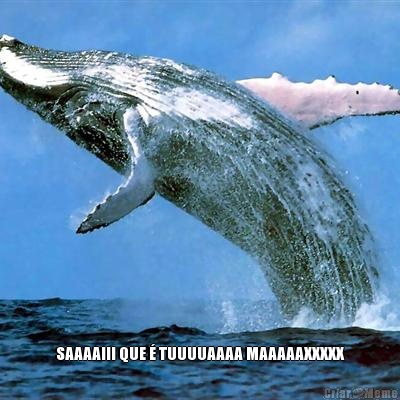  SAAAAIII QUE � TUUUUAAAA MAAAAAXXXXX