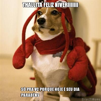 THALLITA FELIZ NIVER!!!!!!! S� PRA VC PORQUE HOJE � SEU DIA 
PARAB�NS