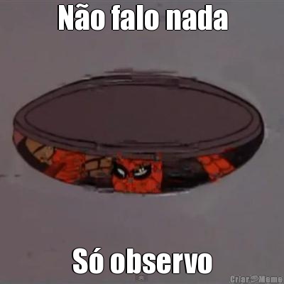N�o falo nada S� observo