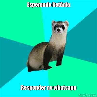 Esperando Bet�nia Responder no whatsapp