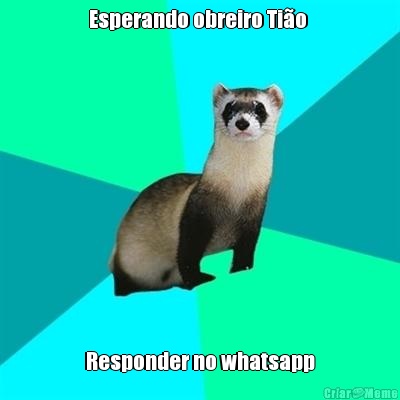 Esperando obreiro Ti�o  Responder no whatsapp
