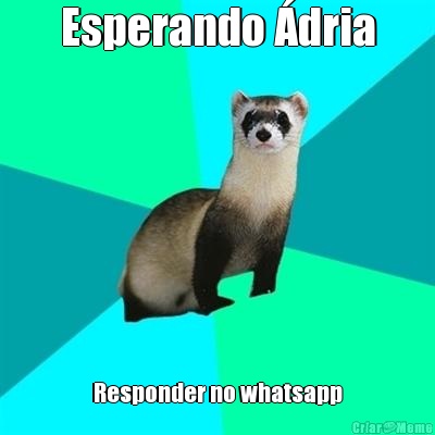 Esperando �dria Responder no whatsapp