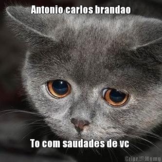 Antonio carlos brandao To com saudades de vc 