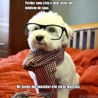 Perder meu chip e nele tinha seu
telefone de casa. Vc pode me mandar ele pelo wattzap.