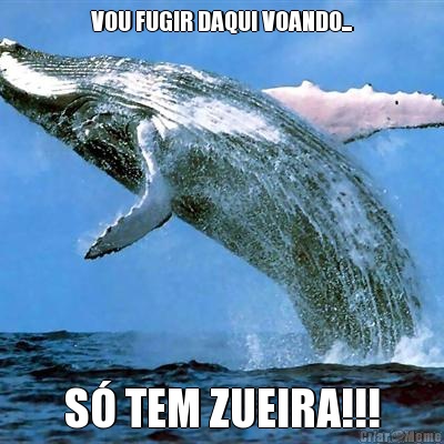 VOU FUGIR DAQUI VOANDO... S� TEM ZUEIRA!!!
