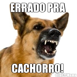 ERRADO PRA  CACHORRO! 