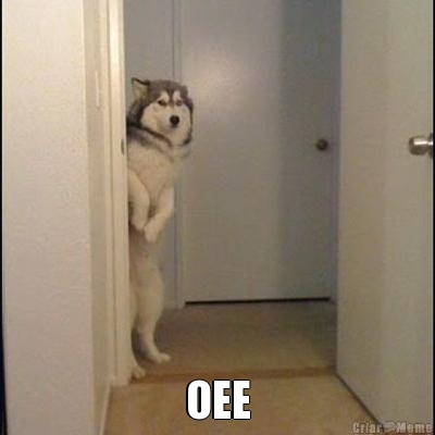  OEE