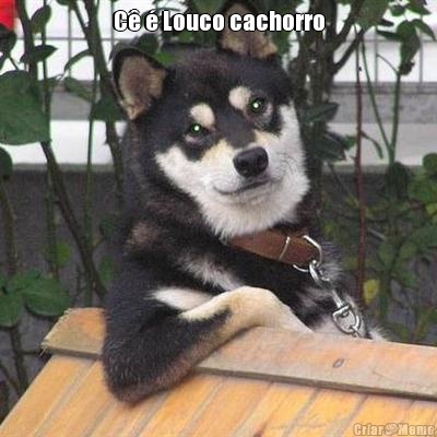 C� � Louco cachorro 