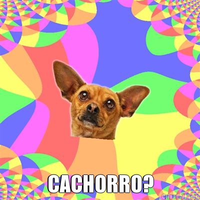  CACHORRO?