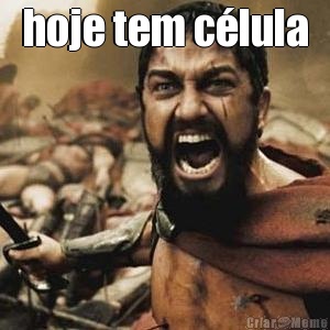 hoje tem c�lula 
