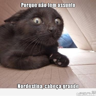 Porque n�o tem assunto Nordestina, cabe�a grande