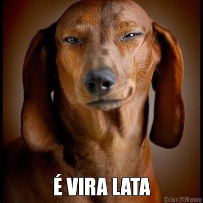  � VIRA LATA
