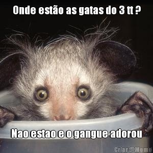 Onde est�o as gatas do 3 tt ? Nao estao e o gangue adorou