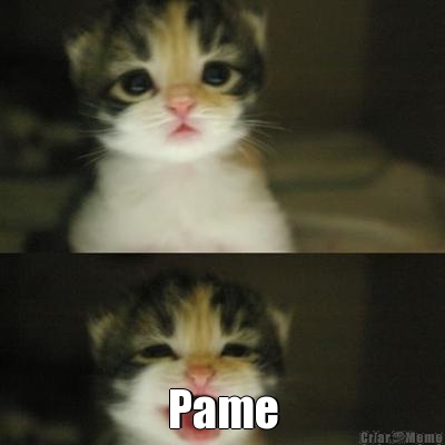  Pame