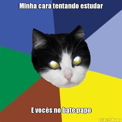 Minha cara tentando estudar E voc�s no bate papo