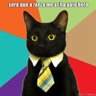 sera que a zanza me acha gato Beto 