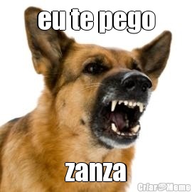 eu te pego zanza