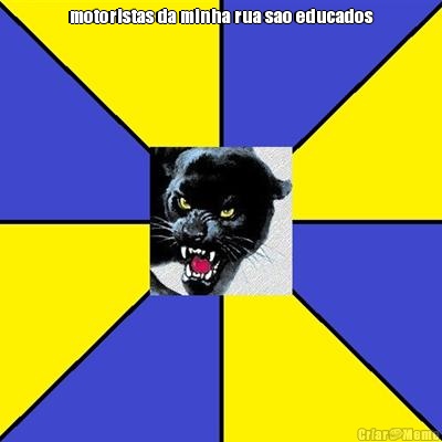 motoristas da minha rua sao educados 