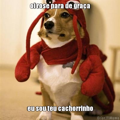 oi rose para de gra�a eu sou teu cachorrinho