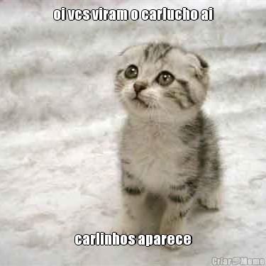 oi vcs viram o carlucho ai carlinhos aparece