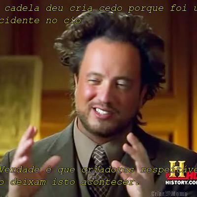 A cadela deu cria cedo porque foi um
acidente no cio A Verdade � que criadores respeit�veis
n�o deixam isto acontecer.